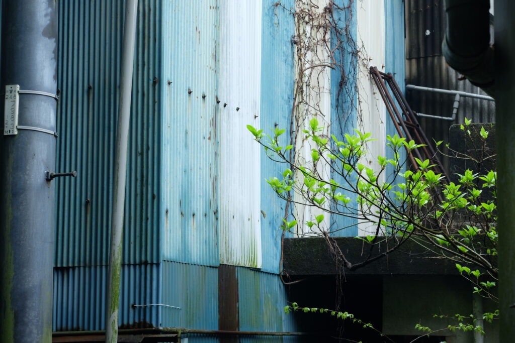 宮崎の風景